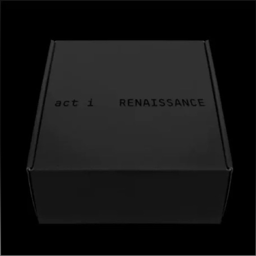 Beyoncé Renaissance Box Set - Pose 3 SMALL